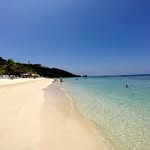 Anna Laddaga - @anna.laddaga.80 - Instagram