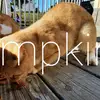 Anna Lail - @anna.marie12 - TikTok
