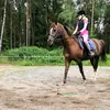 Anna laine - @annalaine_ - TikTok