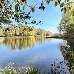 Lake Anna Island Realty - @lakeannarealestate - Instagram