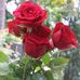 Anna Lakshmi - Facebook