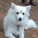 Anna Lakshmi - Facebook