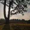Anna - @annalalalalla - TikTok