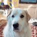 Anna Lamar - Facebook