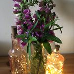 Anna Lambert - @home_health_craft - Instagram