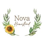 Anna laMonica - @nova_homestead_ - Instagram