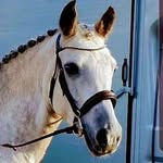 Anna Lamont - @anna_and_charm_101 - Instagram