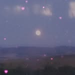 anna lamont - @photography_skills_56 - Instagram