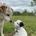 Anna Lamoreaux - Facebook