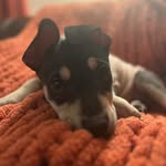 Anna Lamphere - @anna.marie8088 - Instagram