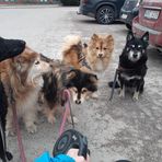 Anna Lampi - Facebook