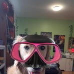 Anna-Rose Lamy - Facebook