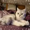 Anna Lancaster - @annalancaster0 - TikTok