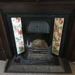 Anna Lancaster - @peak_district_living - Instagram