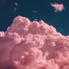 Anna lance - @annalance3 - TikTok