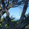 annalance71 - @annalance71 - TikTok