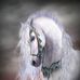 Anna Lander - Facebook