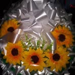 Ana Landeros - Facebook