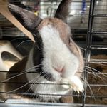 Anna Landers - @anna_landers7 - Instagram