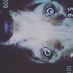 anna landers - @lander9223 - Instagram