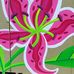 Anna Landers - Facebook