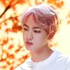 user7098346361838 - @annalanders099 - TikTok