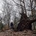 Anna Landin - Facebook