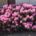 Anna Landin - @anna.landin.7 - Instagram