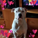 Anna Landis - Facebook
