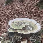 Anna Landowska - @anna.landowska.752 - Instagram