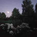 Anna Landowska - @anialandowska1955 - Instagram
