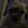 Anna! - @anna._.marie._.lanford - TikTok