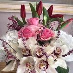 Anna D Linaweaver-Lanford - @linaweaverlanford - Instagram