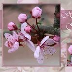 Anna Langen - Facebook