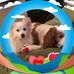 Anne Langworthy - Facebook