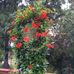 Anna Sue Lansdell Byars - Facebook