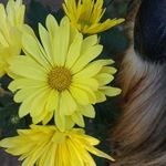 Annatjie Lansdell - @annatjielansdell - Instagram