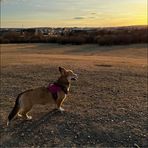 Anna Lapierre - Facebook