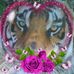 Anna Laplant - Facebook