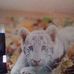 Anna Laplant - Facebook