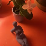 Anna Laplante - @fellicitybylaplante - Instagram