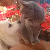 Anna_la_rocca - @anna_la_rocca - TikTok