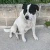 annalarocca28 - @annalarocca28 - TikTok