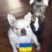 Anna Larsdotter - Facebook