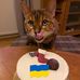 Anna Larsdotter Tell - Facebook