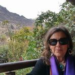Ann Lasater - Facebook