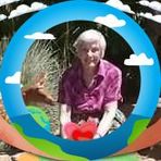 Anna Lasater - Facebook