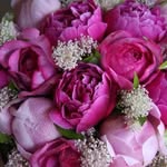 anna lasco - @lasco6014 - Instagram