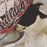 𝑨𝒏𝒏𝒂 - @anna_latham_ - Instagram