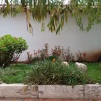 Ana Latorre - Facebook